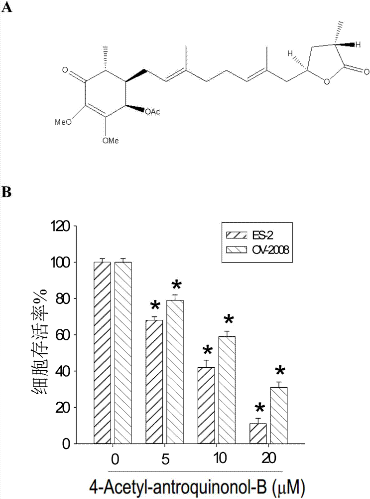 【三亿体育官网】贾亚权:在转型升级中提供最贴近用户需求的服务(图2) 三亿体育手机版