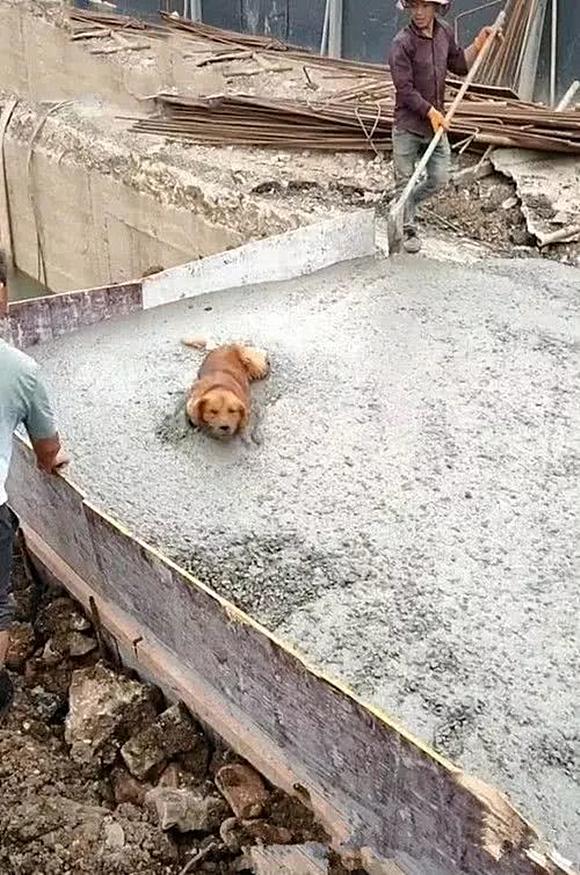 借助太阳能 奥迪将要推出智能充电网络项目‘三亿体育官网’(图2) 三亿体育手机版