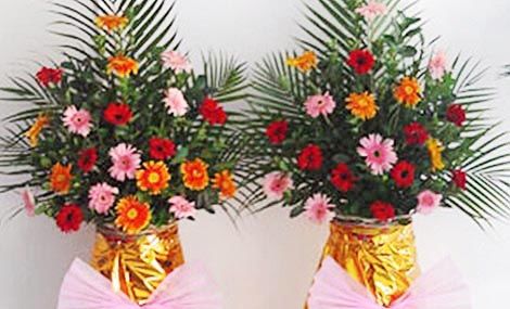 大龙和小燕_三亿体育手机版(图1) 三亿体育