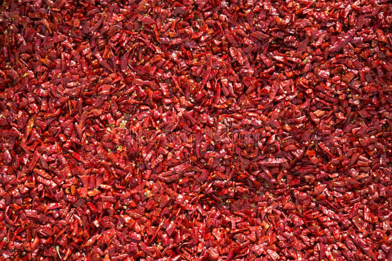 长安林肯航海家申报图曝光 提供两款动力“三亿体育手机版”(图4) 三亿体育