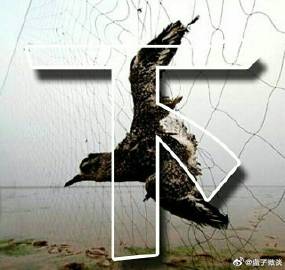 【三亿体育官网】红包游戏(图3) 三亿体育