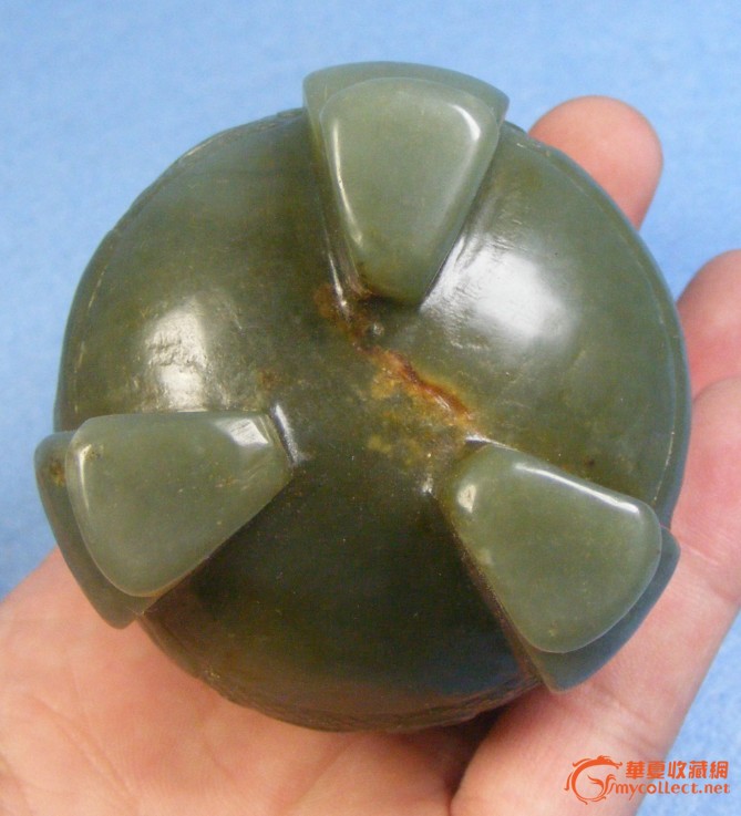 三亿体育:狼青犬的价格如何?为什么狼青犬在家庭饲养中很少见?(图2) 三亿体育手机版