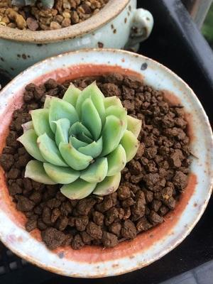 我因为监视别人,终于过上了小康家庭(下)“三亿体育”(图2) 三亿体育官网