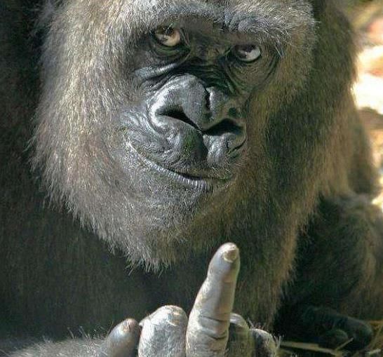 三亿体育手机版