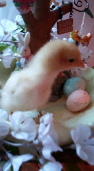 三亿体育手机版