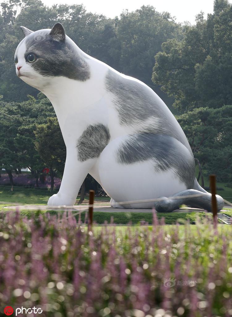 三亿体育手机版