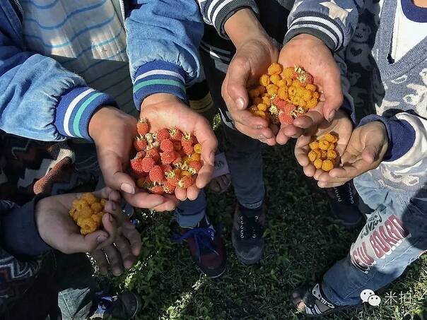 三亿体育手机版