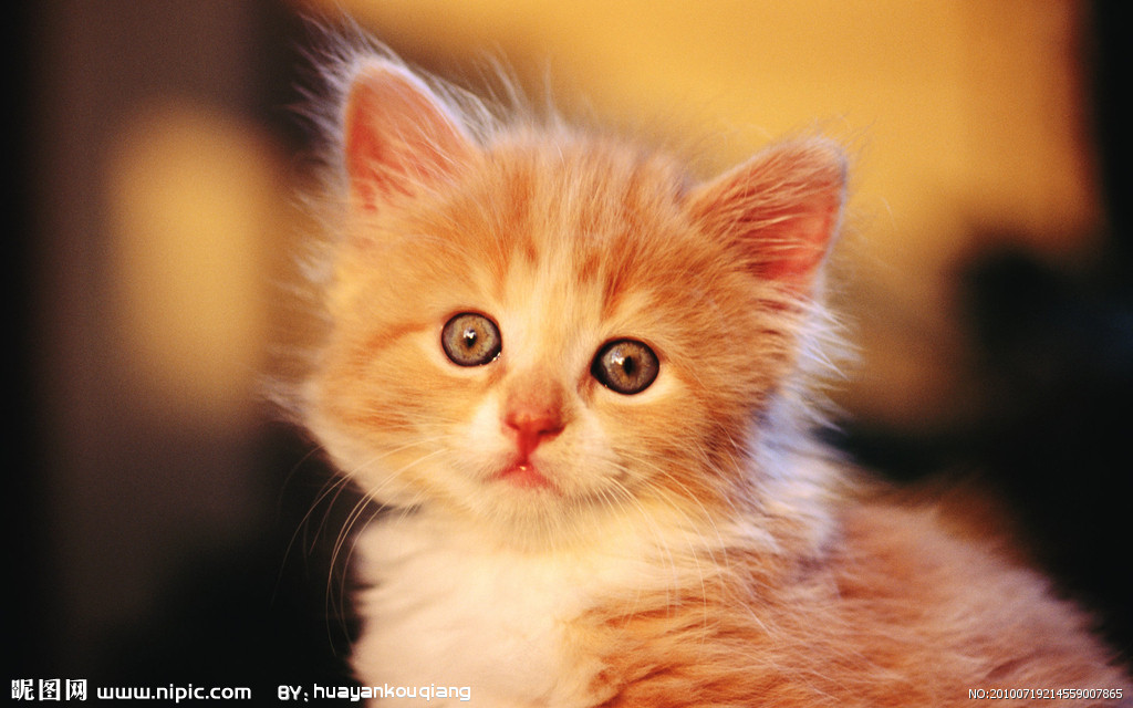 【三亿体育】疯狂的流感(图1) 三亿体育手机版