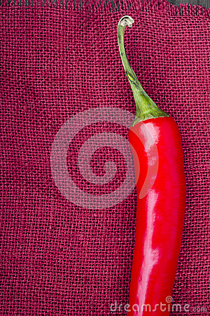 三亿体育官网-
新栏目《山城人社》 今晚开播!(图6) 三亿体育手机版