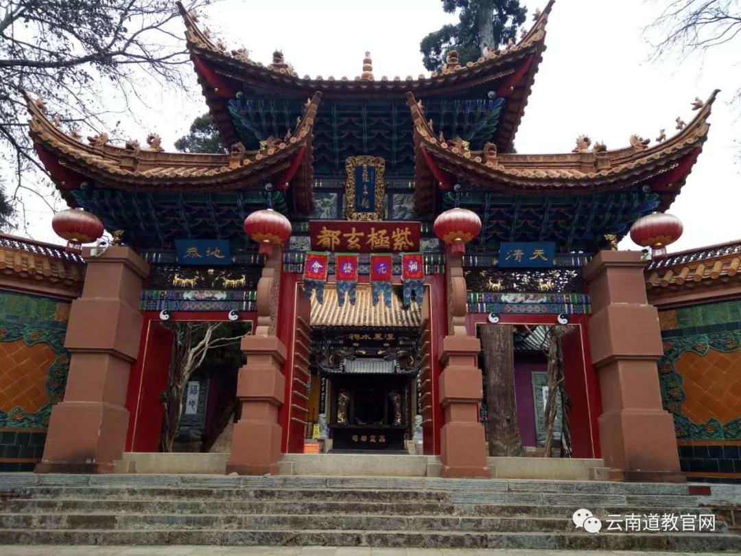 农业市场:深圳蔬菜价格重回“一元时代”|三亿体育官网(图1) 三亿体育手机版