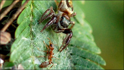 【三亿体育手机版】“一顿饭吓跑上海女友”的联想(图2) 三亿体育