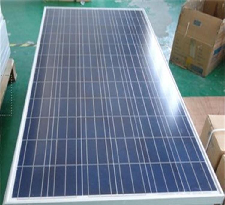 三亿体育手机版