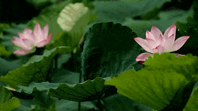 【重磅】厉害了 广元一地霸屏CCTV1一分钟!‘三亿体育官网’(图11)
【重磅】厉害了 广元一地霸屏CCTV1一分钟!‘三亿体育官网’(图11)