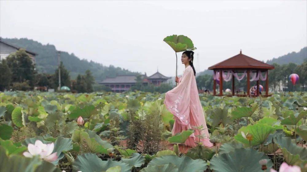 【重磅】厉害了 广元一地霸屏CCTV1一分钟!‘三亿体育官网’(图12)
【重磅】厉害了 广元一地霸屏CCTV1一分钟!‘三亿体育官网’(图12)