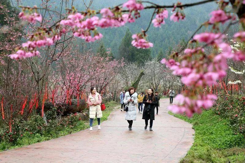 【重磅】厉害了 广元一地霸屏CCTV1一分钟!‘三亿体育官网’(图19)
【重磅】厉害了 广元一地霸屏CCTV1一分钟!‘三亿体育官网’(图19)