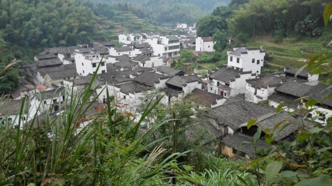 “三亿体育手机版”“回家投诉”需要全国一盘棋(图2) 三亿体育