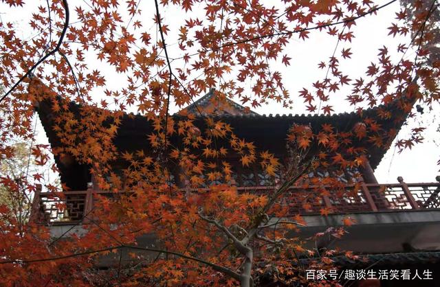 【三亿体育手机版】文乡诗苑 | 兰庭雅集(六)(图3) 三亿体育官网