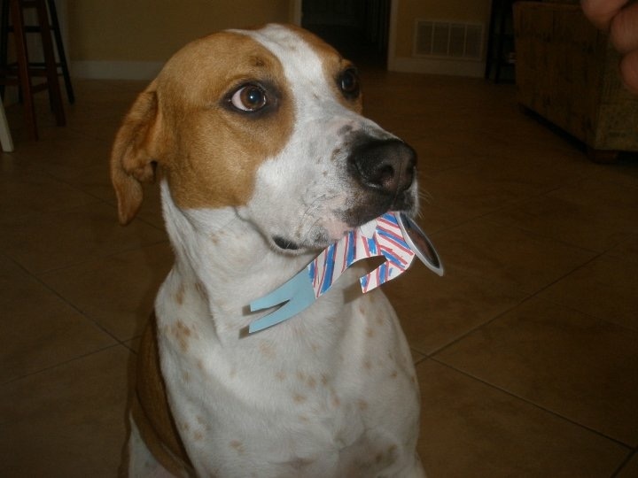 “无废社会”构建研究_三亿体育官网(图1) 三亿体育