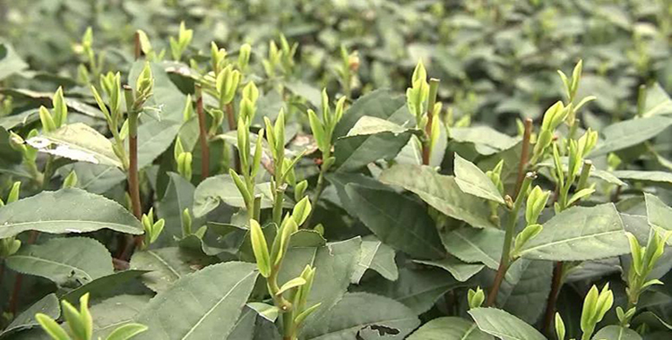 三亿体育手机版-上了年纪才知道,中二不是病,是命(图3) 三亿体育官网