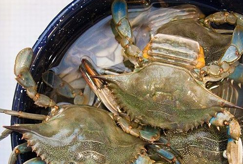 三亿体育手机版