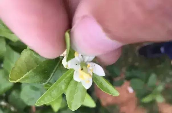 三亿体育手机版