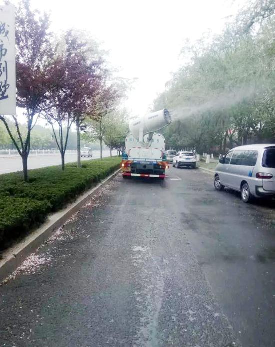 扫帚菜有什么价值?哪些人适合吃扫帚菜?【三亿体育手机版】(图1) 三亿体育手机版