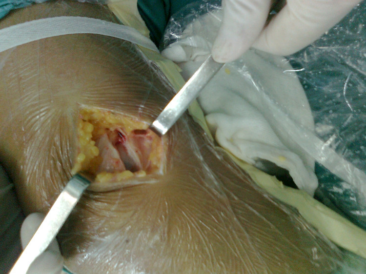 如此纷繁,如何面对_三亿体育官网(图3) 三亿体育手机版