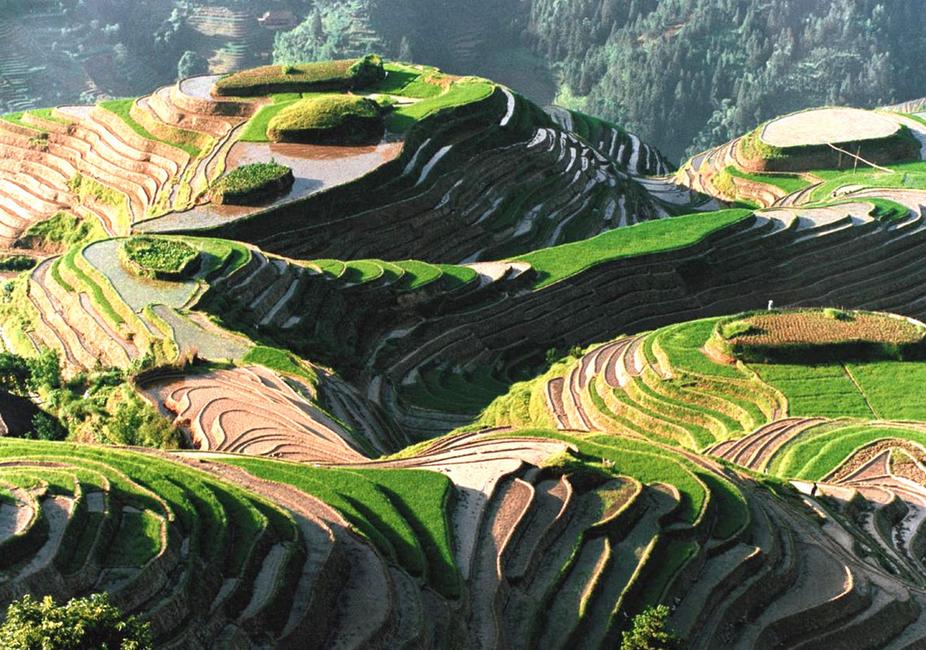 三亿体育手机版