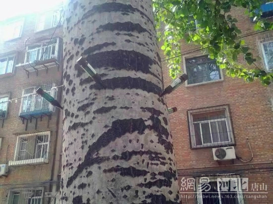 三亿体育手机版