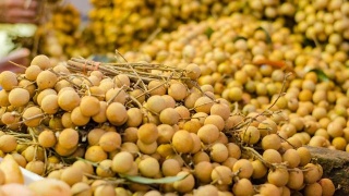 三亿体育手机版