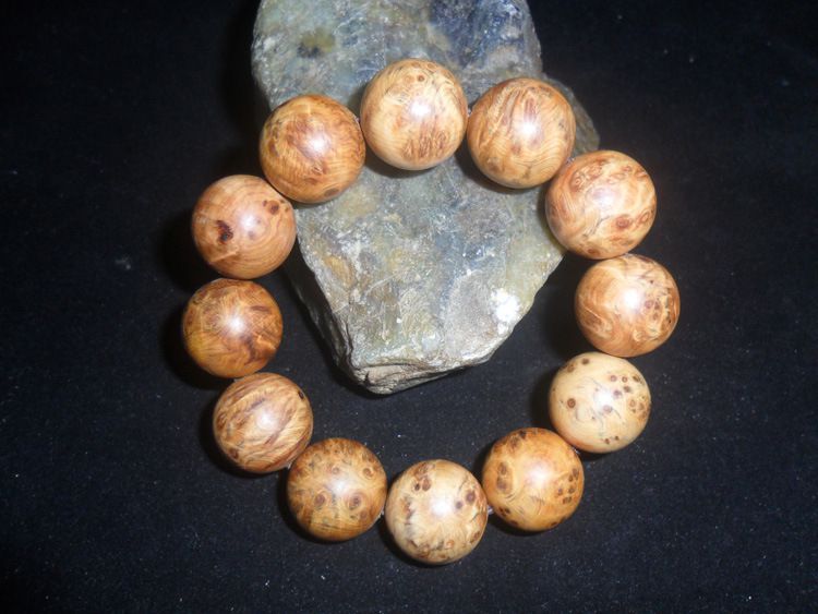 三亿体育手机版