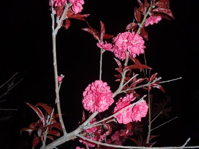 三亿体育手机版