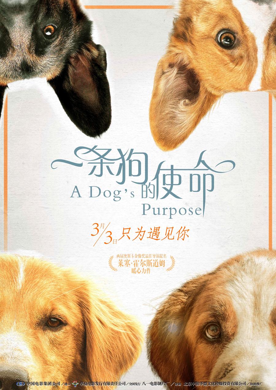 三亿体育手机版
