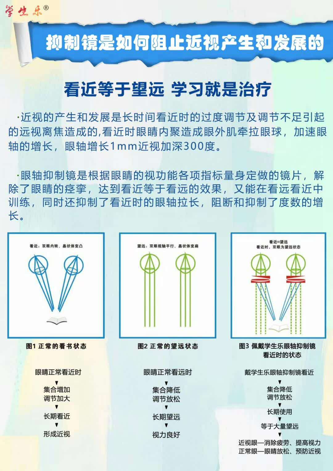 鸟儿竟然从3米多高仙人掌上筑窝|三亿体育(图4) 三亿体育官网